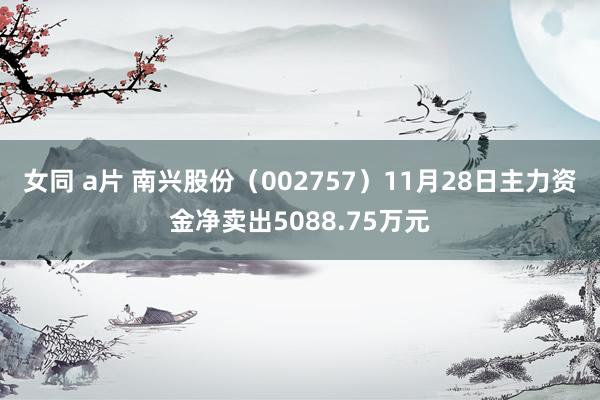 女同 a片 南兴股份（002757）11月28日主力资金净卖出5088.75万元