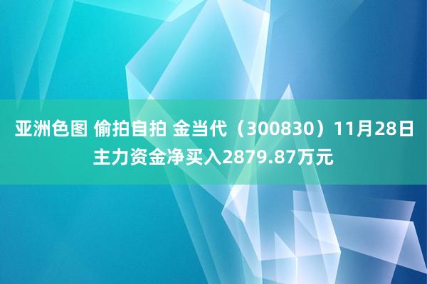 亚洲色图 偷拍自拍 金当代（300830）11月28日主力资金净买入2879.87万元