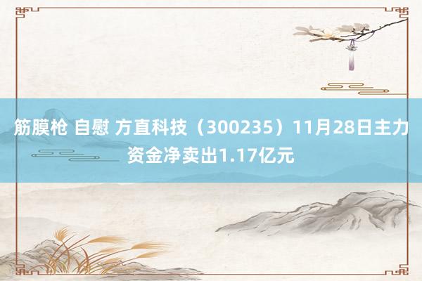 筋膜枪 自慰 方直科技（300235）11月28日主力资金净卖出1.17亿元