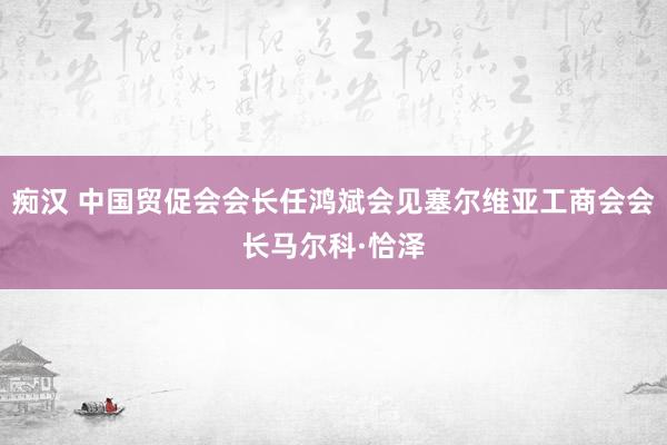 痴汉 中国贸促会会长任鸿斌会见塞尔维亚工商会会长马尔科·恰泽