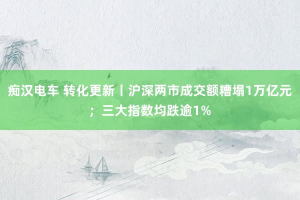 痴汉电车 转化更新丨沪深两市成交额糟塌1万亿元；三大指数均跌逾1%