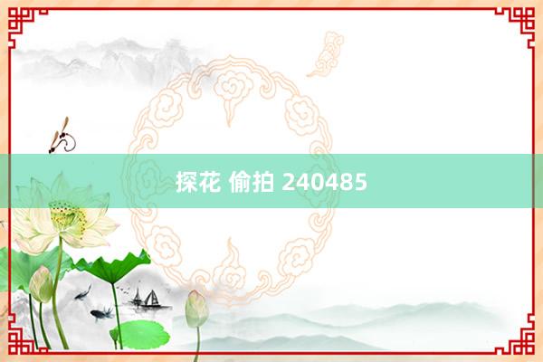 探花 偷拍 240485