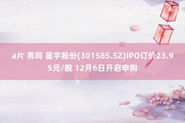 a片 男同 蓝宇股份(301585.SZ)IPO订价23.95元/股 12月6日开启申购