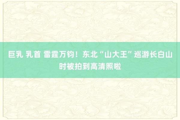 巨乳 乳首 雷霆万钧！东北“山大王”巡游长白山时被拍到高清照啦