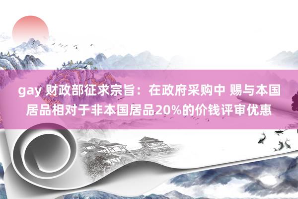 gay 财政部征求宗旨：在政府采购中 赐与本国居品相对于非本国居品20%的价钱评审优惠