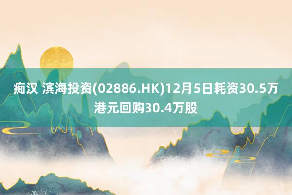 痴汉 滨海投资(02886.HK)12月5日耗资30.5万港元回购30.4万股