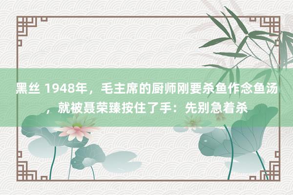 黑丝 1948年，毛主席的厨师刚要杀鱼作念鱼汤，就被聂荣臻按住了手：先别急着杀