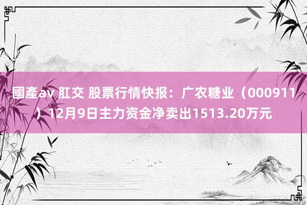 國產av 肛交 股票行情快报：广农糖业（000911）12月9日主力资金净卖出1513.20万元