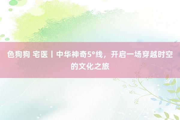 色狗狗 宅医丨中华神奇5°线，开启一场穿越时空的文化之旅