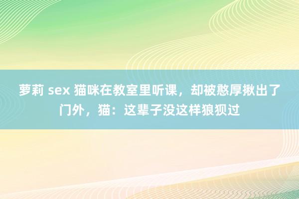 萝莉 sex 猫咪在教室里听课，却被憨厚揪出了门外，猫：这辈子没这样狼狈过