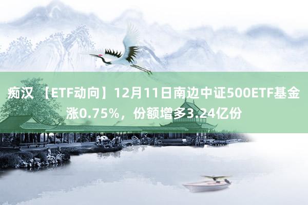 痴汉 【ETF动向】12月11日南边中证500ETF基金涨0.75%，份额增多3.24亿份