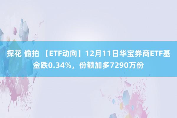 探花 偷拍 【ETF动向】12月11日华宝券商ETF基金跌0.34%，份额加多7290万份