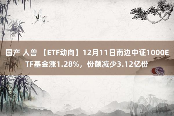 国产 人兽 【ETF动向】12月11日南边中证1000ETF基金涨1.28%，份额减少3.12亿份