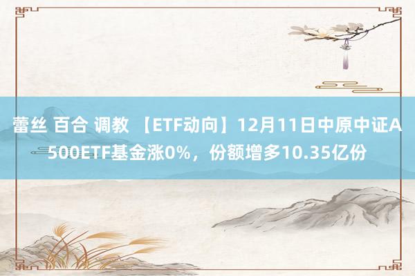 蕾丝 百合 调教 【ETF动向】12月11日中原中证A500ETF基金涨0%，份额增多10.35亿份