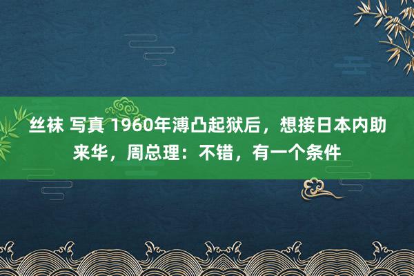 丝袜 写真 1960年溥凸起狱后，想接日本内助来华，周总理：不错，有一个条件