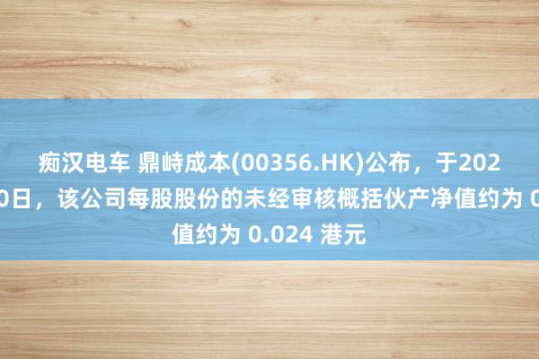 痴汉电车 鼎峙成本(00356.HK)公布，于2024年11月30日，该公司每股股份的未经审核概括伙产净值约为 0.024 港元