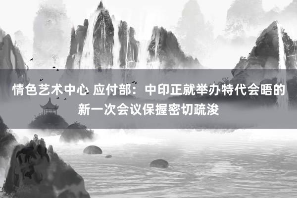 情色艺术中心 应付部：中印正就举办特代会晤的新一次会议保握密切疏浚