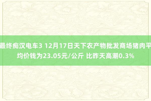 最终痴汉电车3 12月17日天下农产物批发商场猪肉平均价钱为23.05元/公斤 比昨天高潮0.3%