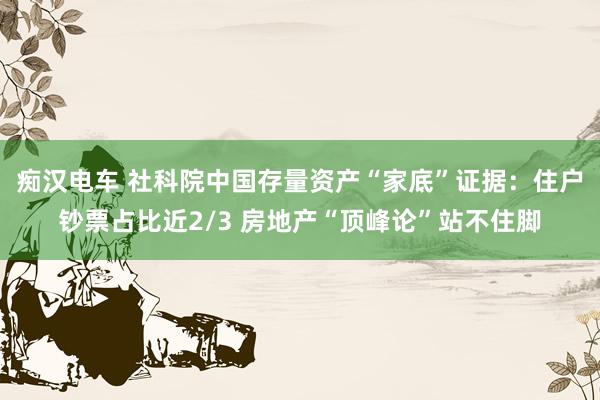 痴汉电车 社科院中国存量资产“家底”证据：住户钞票占比近2/3 房地产“顶峰论”站不住脚