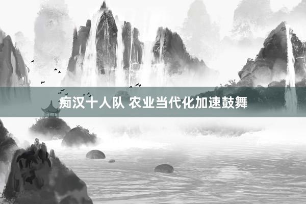 痴汉十人队 农业当代化加速鼓舞