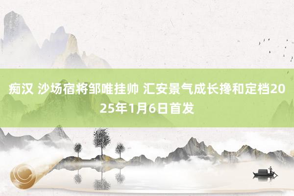 痴汉 沙场宿将邹唯挂帅 汇安景气成长搀和定档2025年1月6日首发