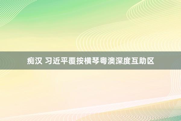 痴汉 习近平覆按横琴粤澳深度互助区