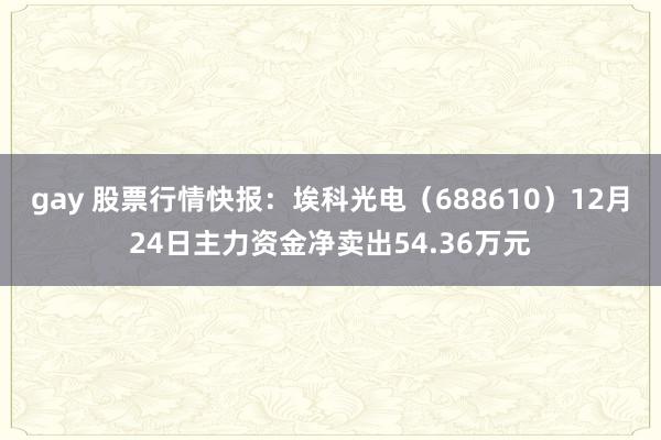 gay 股票行情快报：埃科光电（688610）12月24日主力资金净卖出54.36万元