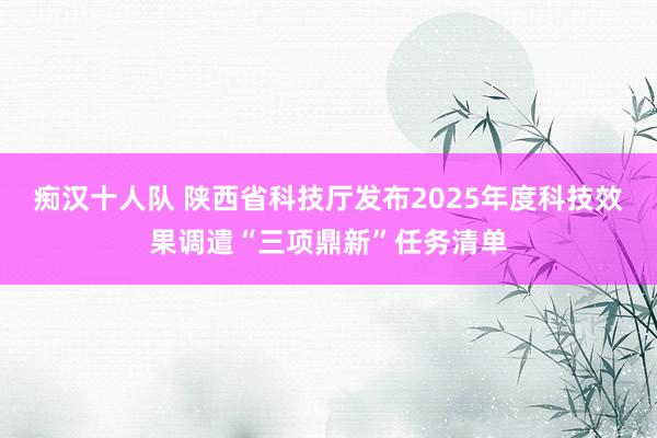 痴汉十人队 陕西省科技厅发布2025年度科技效果调遣“三项鼎新”任务清单