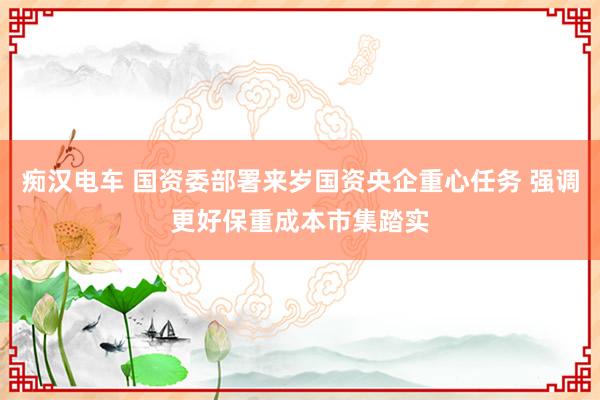 痴汉电车 国资委部署来岁国资央企重心任务 强调更好保重成本市集踏实