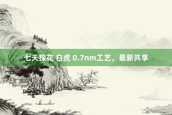 七天探花 白虎 0.7nm工艺，最新共享