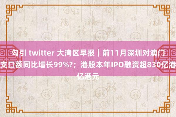 勾引 twitter 大湾区早报｜前11月深圳对澳门收支口额同比增长99%?；港股本年IPO融资超830亿港元