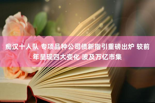 痴汉十人队 专项品种公司债新指引重磅出炉 较前年呈现四大变化 波及万亿市集