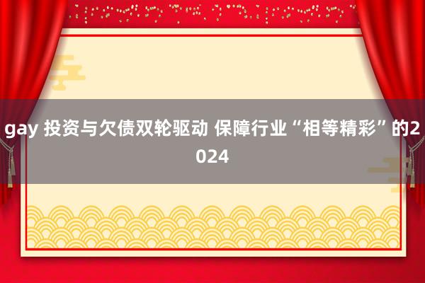 gay 投资与欠债双轮驱动 保障行业“相等精彩”的2024