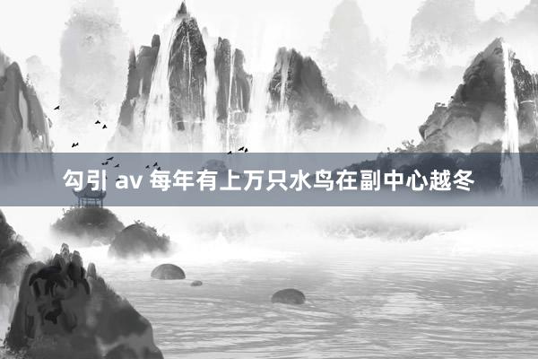 勾引 av 每年有上万只水鸟在副中心越冬