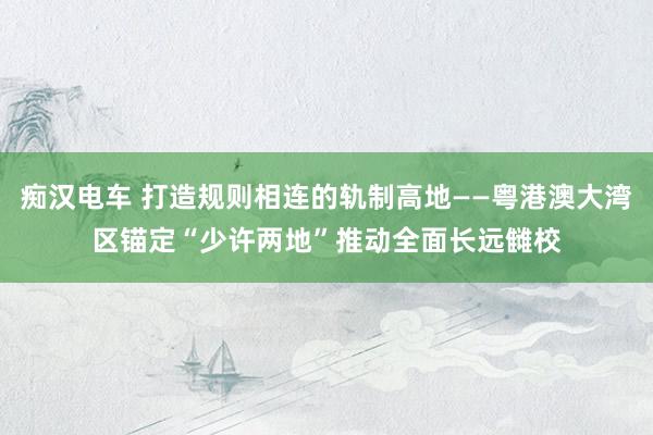 痴汉电车 打造规则相连的轨制高地——粤港澳大湾区锚定“少许两地”推动全面长远雠校