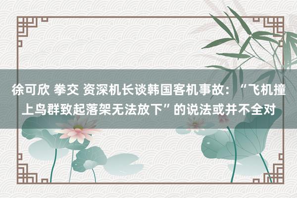 徐可欣 拳交 资深机长谈韩国客机事故：“飞机撞上鸟群致起落架无法放下”的说法或并不全对