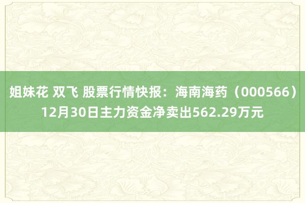 姐妹花 双飞 股票行情快报：海南海药（000566）12月30日主力资金净卖出562.29万元