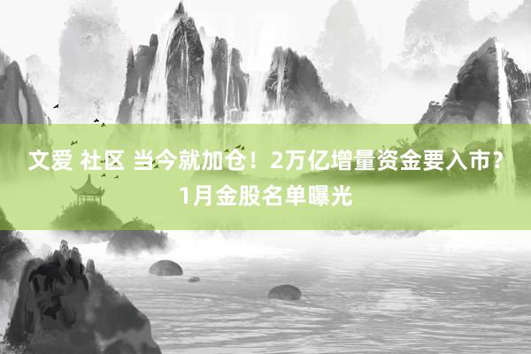 文爱 社区 当今就加仓！2万亿增量资金要入市？1月金股名单曝光