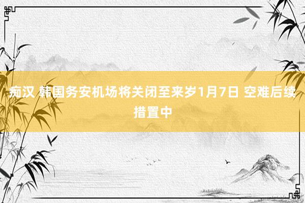 痴汉 韩国务安机场将关闭至来岁1月7日 空难后续措置中