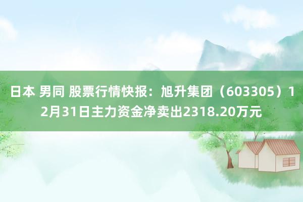 日本 男同 股票行情快报：旭升集团（603305）12月31日主力资金净卖出2318.20万元