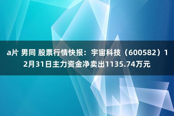 a片 男同 股票行情快报：宇宙科技（600582）12月31日主力资金净卖出1135.74万元