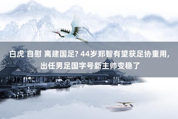 白虎 自慰 离建国足? 44岁郑智有望获足协重用， 出任男足国字号新主帅变稳了