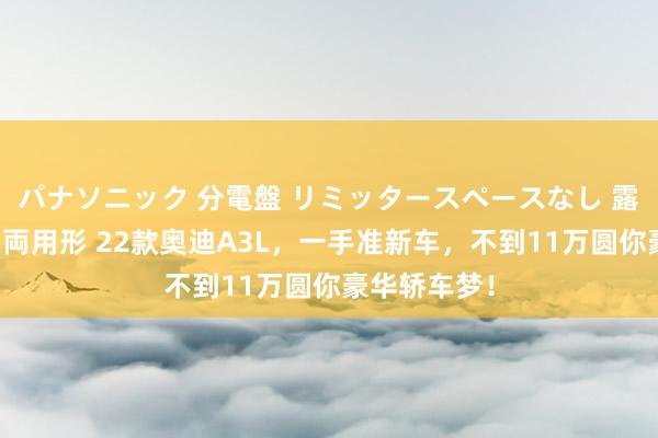 パナソニック 分電盤 リミッタースペースなし 露出・半埋込両用形 22款奥迪A3L，一手准新车，不到11万圆你豪华轿车梦！