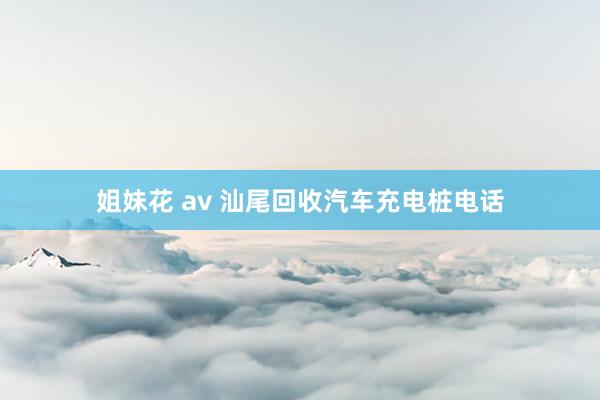 姐妹花 av 汕尾回收汽车充电桩电话