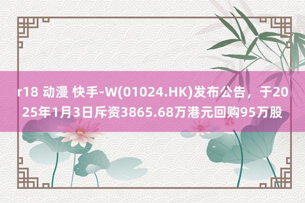 r18 动漫 快手-W(01024.HK)发布公告，于2025年1月3日斥资3865.68万港元回购95万股