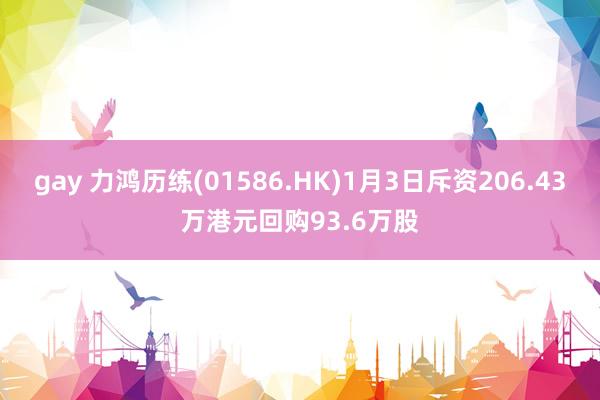 gay 力鸿历练(01586.HK)1月3日斥资206.43万港元回购93.6万股