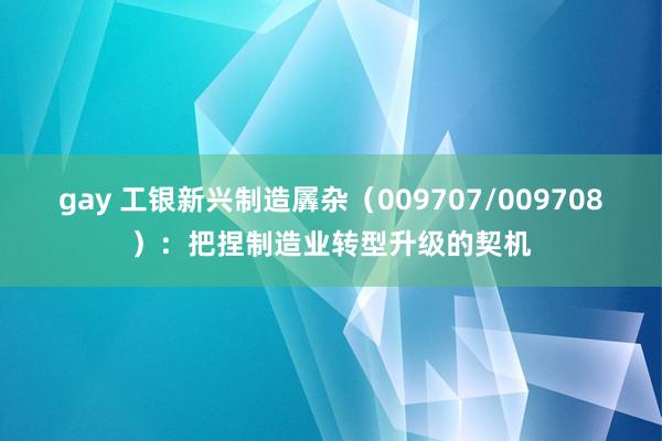 gay 工银新兴制造羼杂（009707/009708）：把捏制造业转型升级的契机