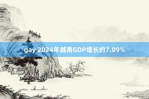 gay 2024年越南GDP增长约7.09%