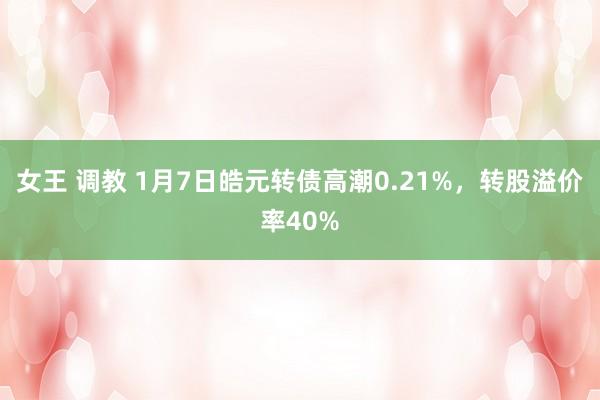 女王 调教 1月7日皓元转债高潮0.21%，转股溢价率40%