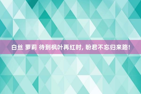 白丝 萝莉 待到枫叶再红时， 盼君不忘归来路!